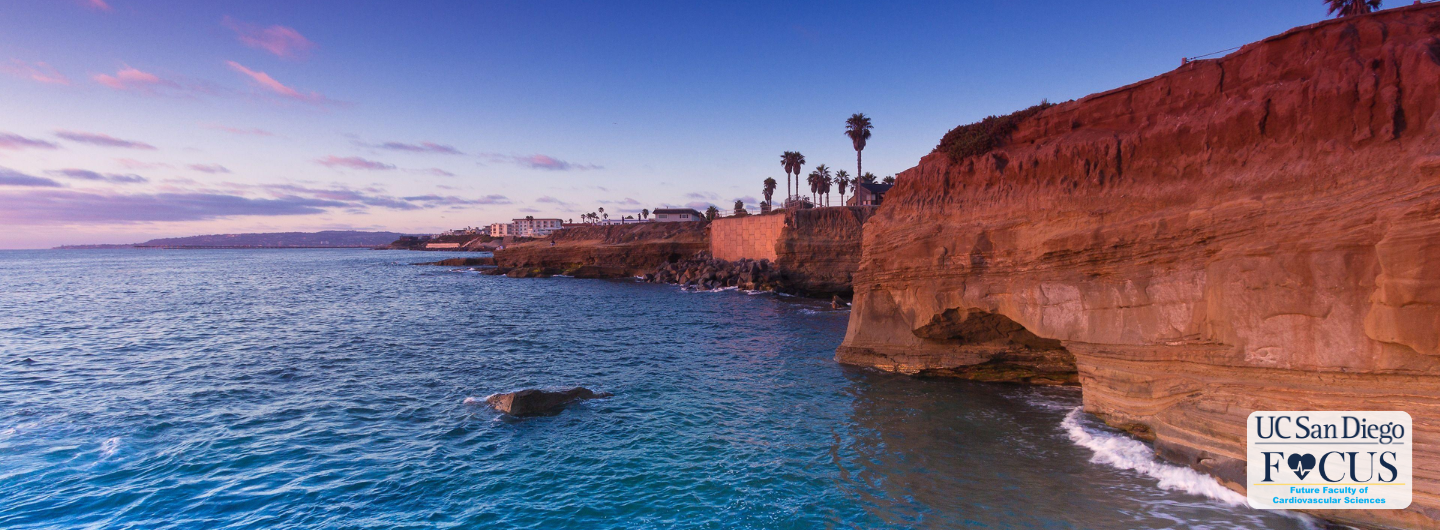 An aerial view of La Jolla beach